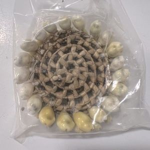 Vintage woven coasters with real shells